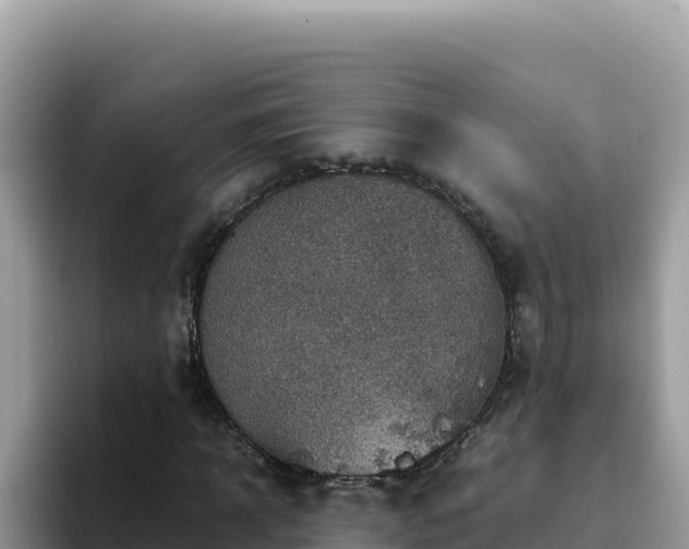 X0000093430918200710191023