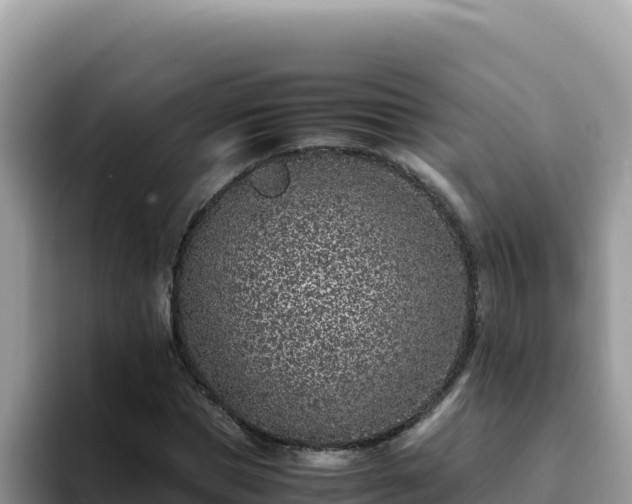 X0000093430921200710191023
