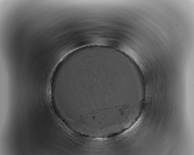 X0000093430923200710191023