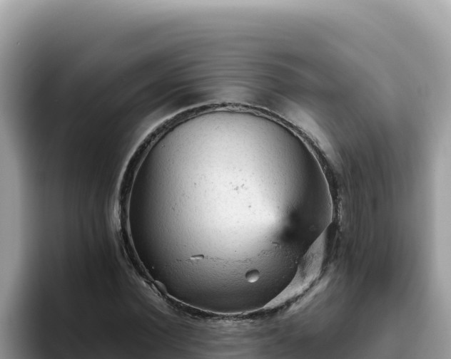 X0000093430924200710191023