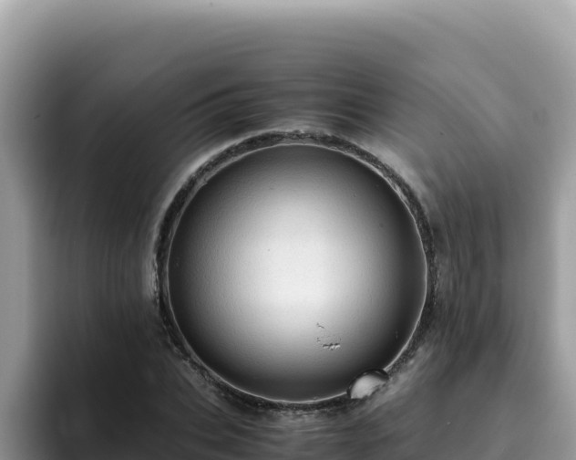 X0000093430927200710191023