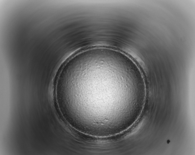 X0000093430933200710191023