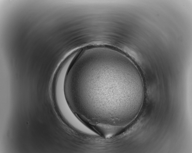 X0000093430934200710191023