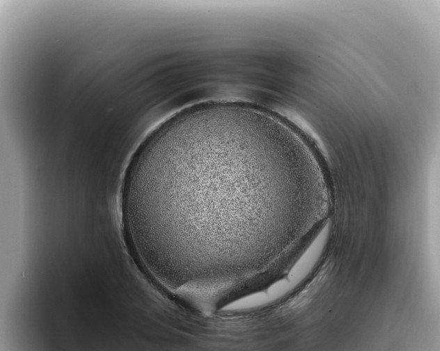 X0000093430935200710191023