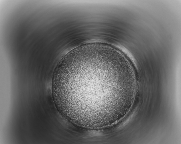 X0000093430937200710191023