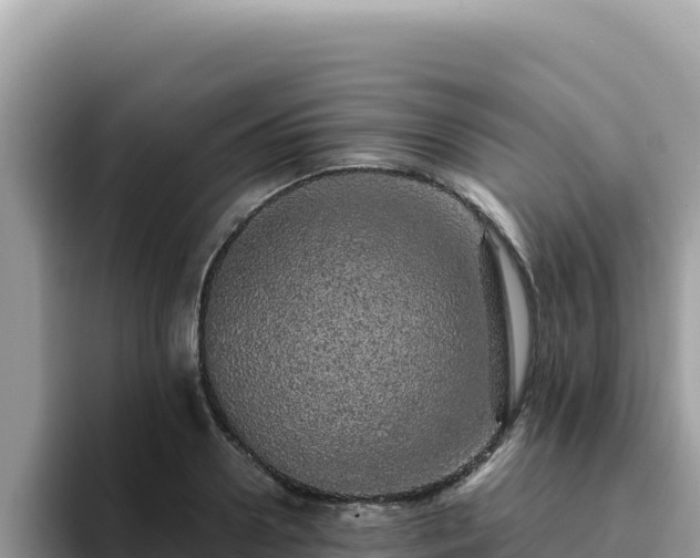 X0000093430938200710191023