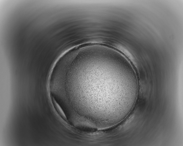 X0000093430939200710191023