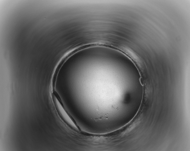 X0000093430940200710191023