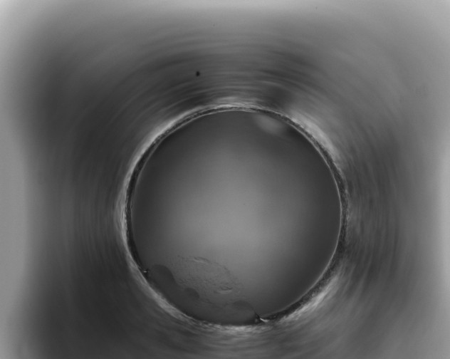 X0000093430941200710191023