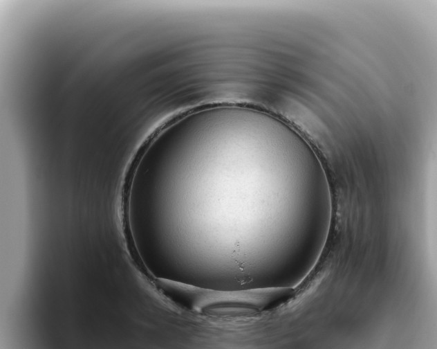X0000093430942200710191023