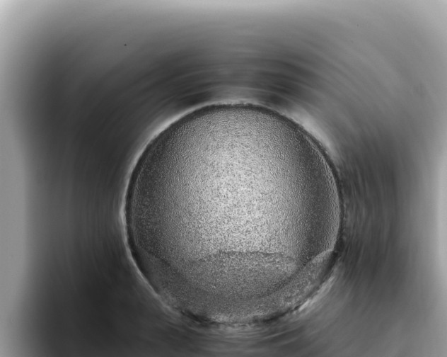 X0000093430943200710191023