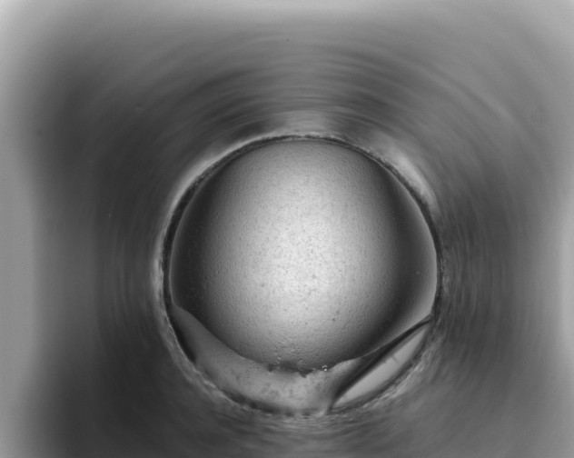 X0000093430944200710191023