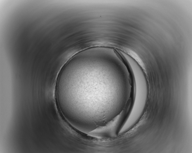 X0000093430946200710191024