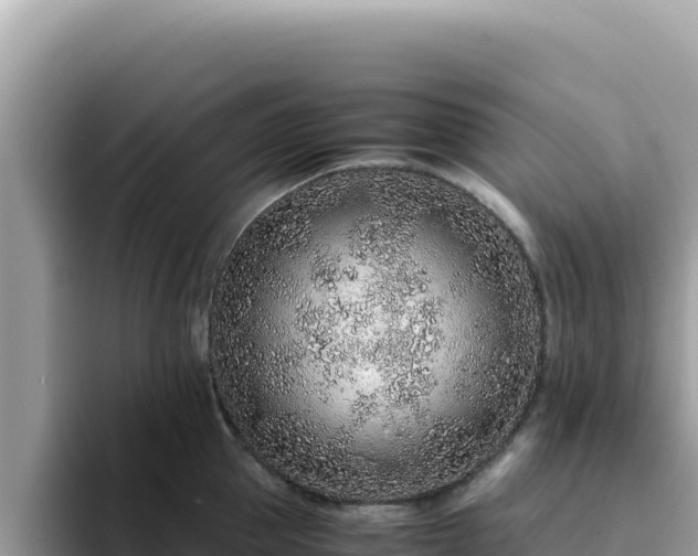 X0000093430953200710191024