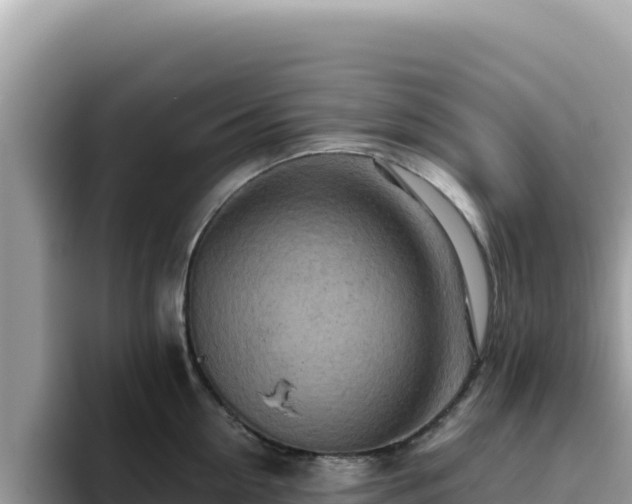 X0000093430954200710191024
