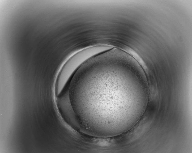 X0000093430955200710191024