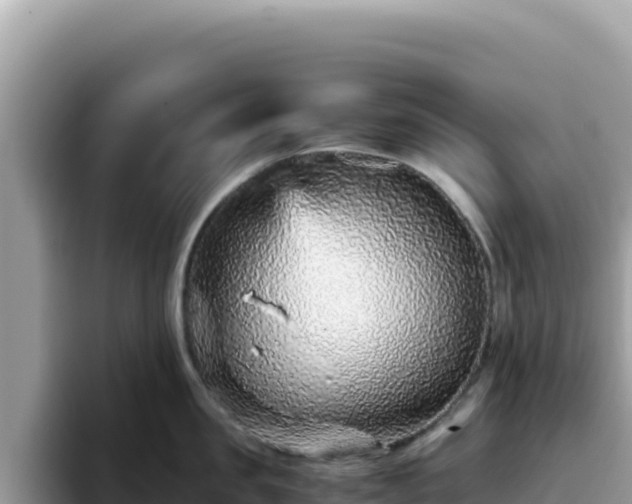 X0000093430957200710191024