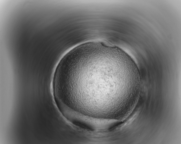X0000093430959200710191024