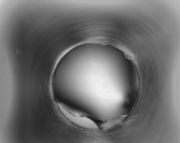 X0000093430960200710191024