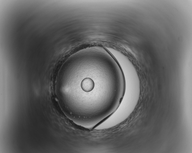 X0000093430965200710191023