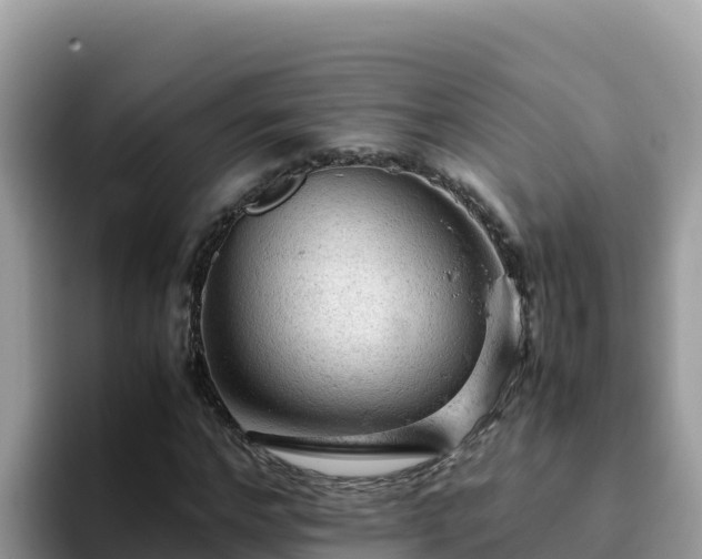 X0000093430968200710191023