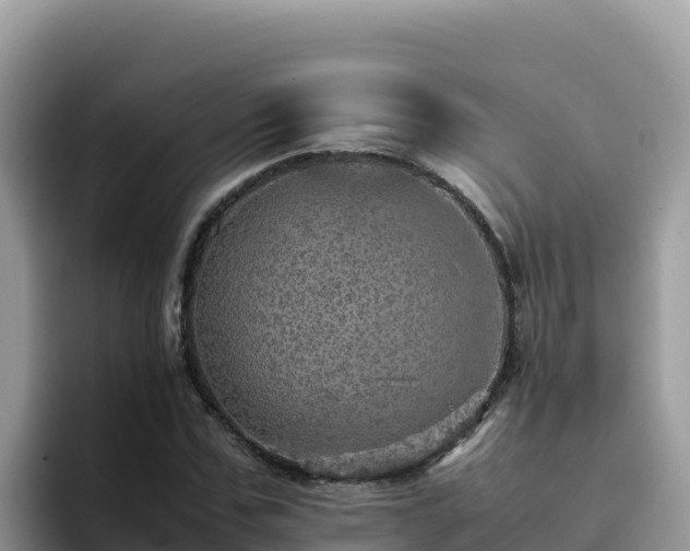 X0000093430971200710191023