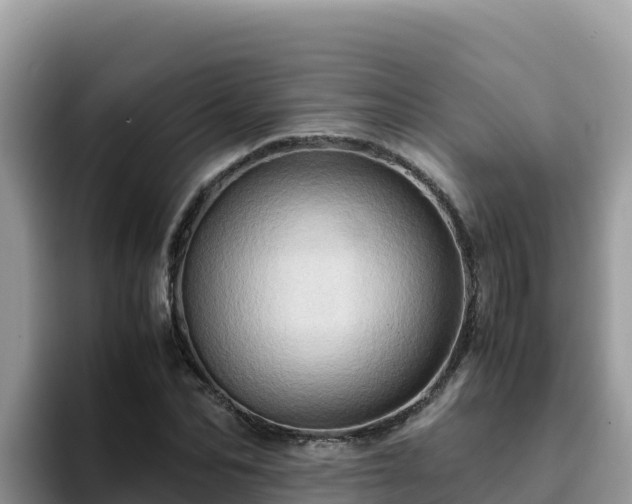 X0000093430974200710191023