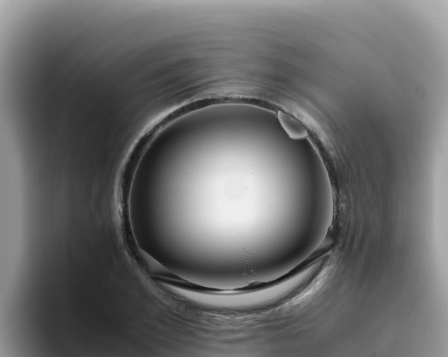 X0000093430981200710191023