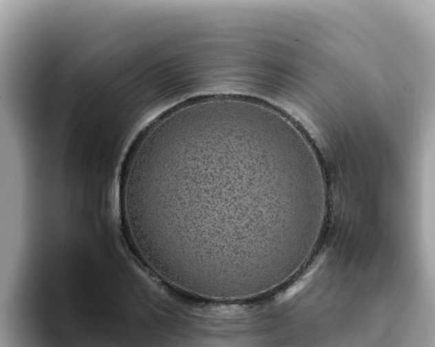 X0000093430982200710191023