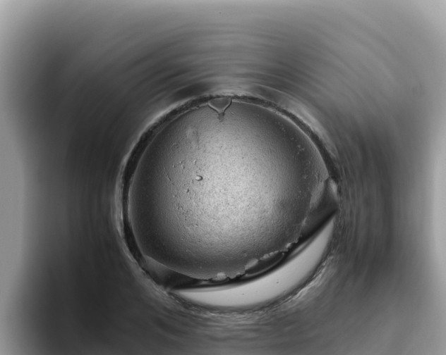 X0000093430984200710191023