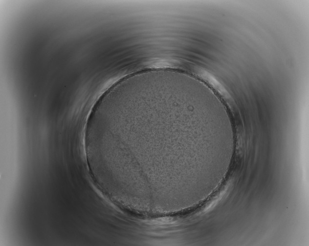 X0000093430986200710191023
