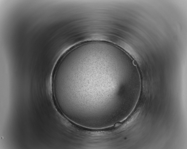 X0000093430988200710191023