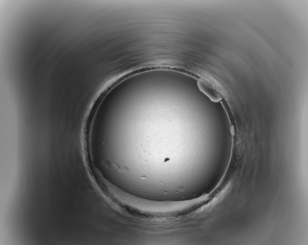 X0000093430989200710191023