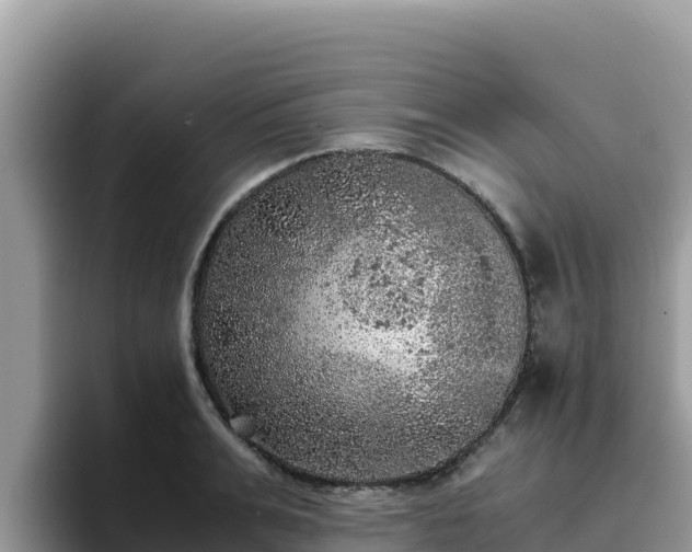 X0000093430991200710191023