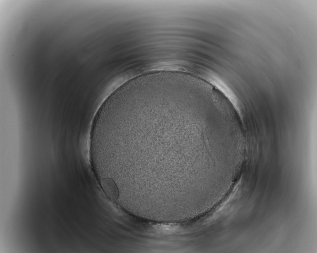 X0000093430994200710191023