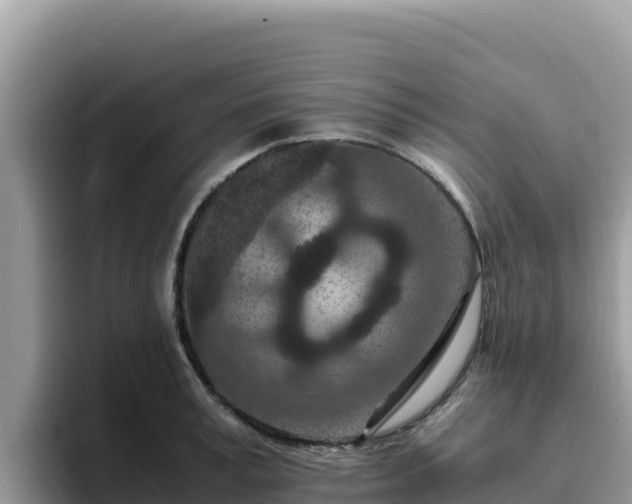 X0000093430995200710191023