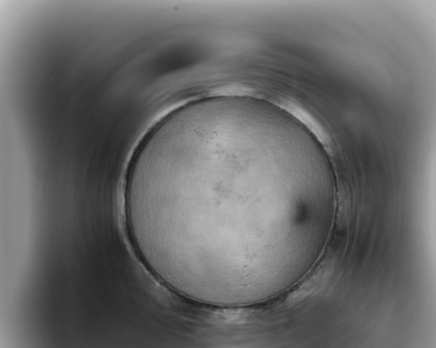X0000093431000200710191023
