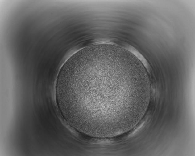 X0000093431002200710191023