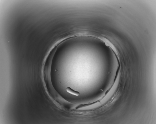 X0000093431005200710191022