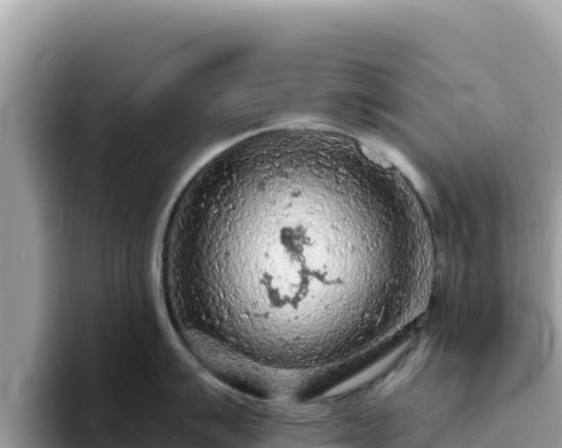 X0000093431007200710191022