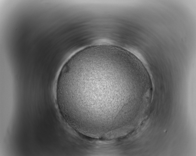X0000093431008200710191022