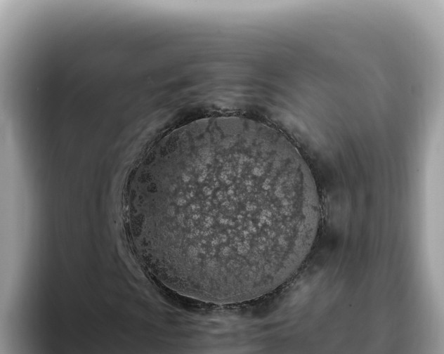 X0000093431009200710191022