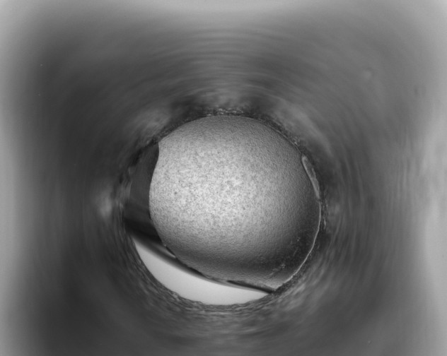 X0000093431010200710191022