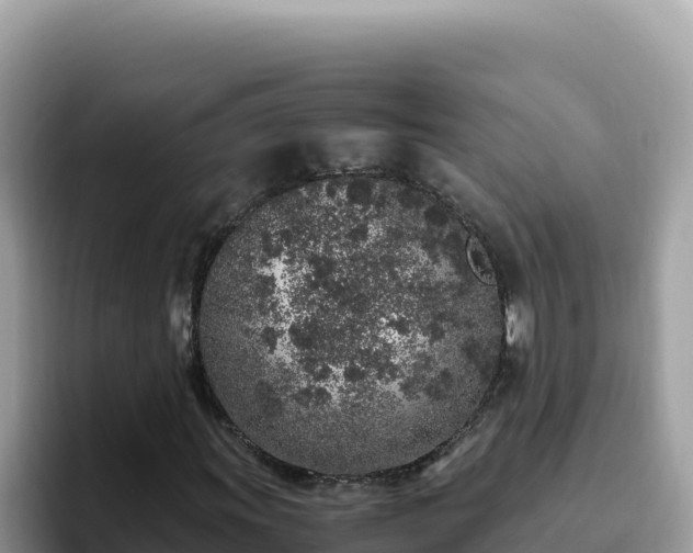 X0000093431011200710191022
