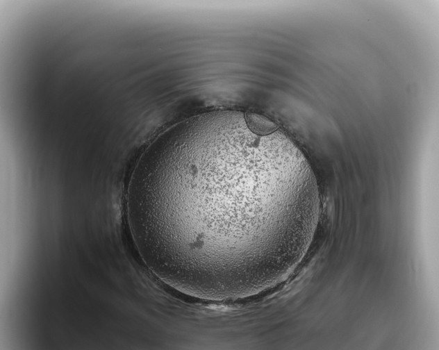 X0000093431012200710191022