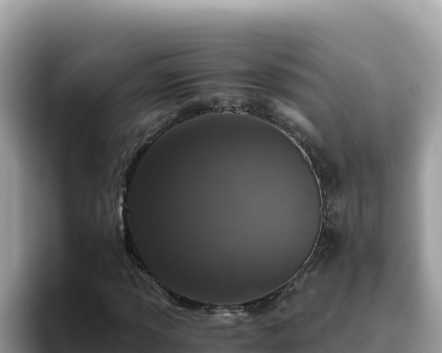 X0000093431013200710191022