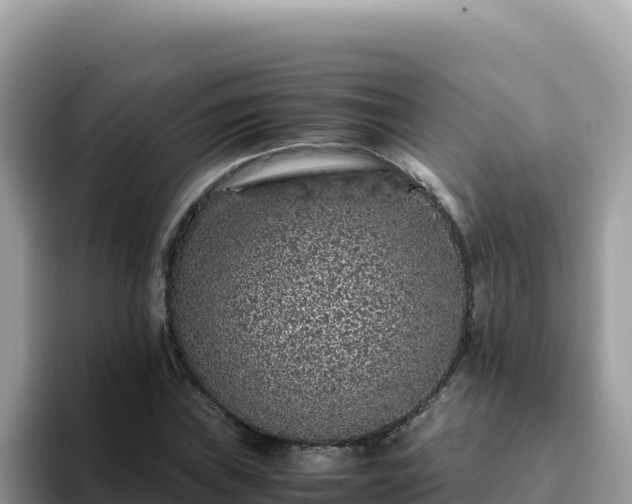 X0000093431019200710191022