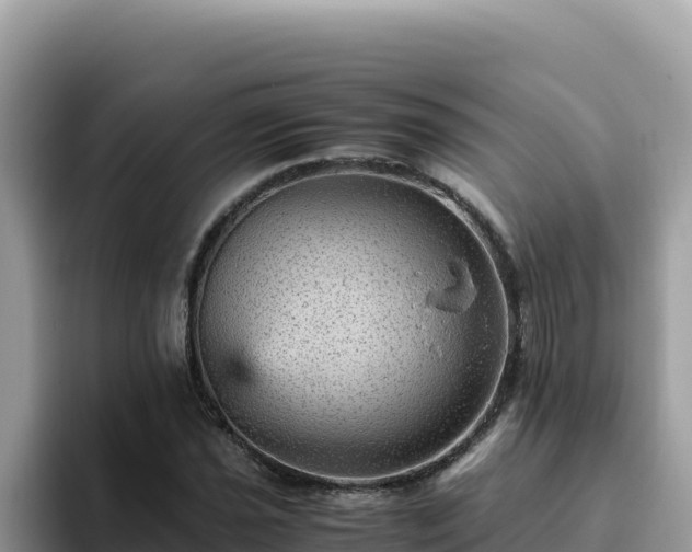 X0000093431021200710191022