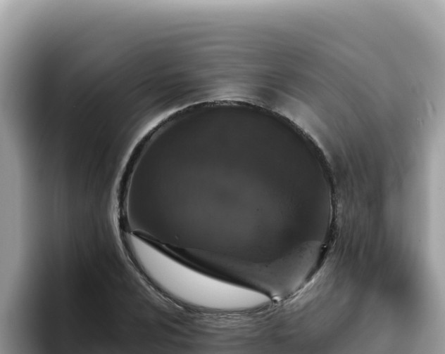 X0000093431024200710191022