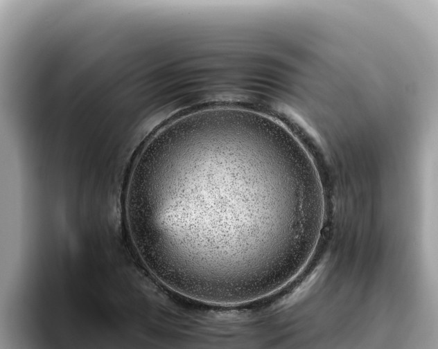 X0000093431025200710191022